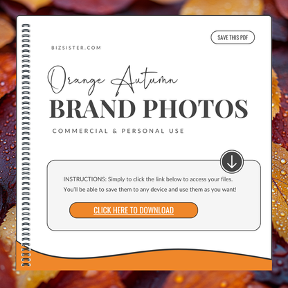 Orange Autumn | Brand Photos | Stock Images | Social Media Graphics | 100% Royalty Free