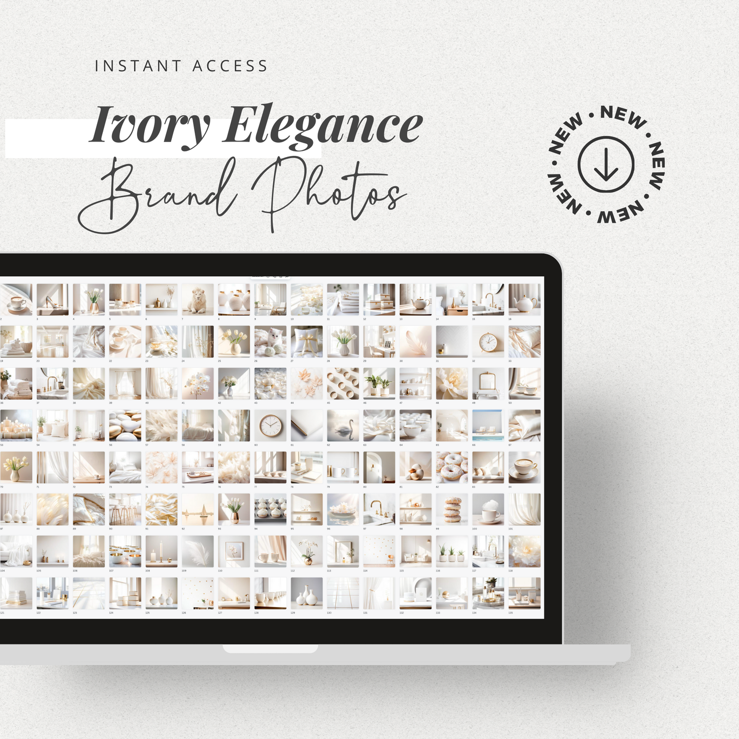 Ivory Elegance | Brand Photos | Stock Images | Social Media Graphics | 100% Royalty Free