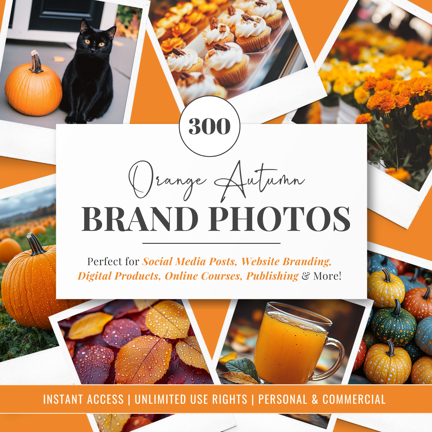 Orange Autumn | Brand Photos | Stock Images | Social Media Graphics | 100% Royalty Free