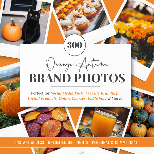 Orange Autumn | Brand Photos | Stock Images | Social Media Graphics | 100% Royalty Free