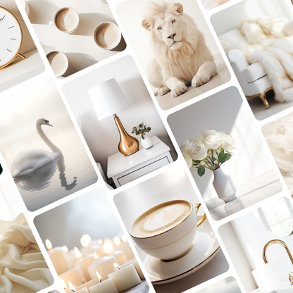 Ivory Elegance | Brand Photos | Stock Images | Social Media Graphics | 100% Royalty Free