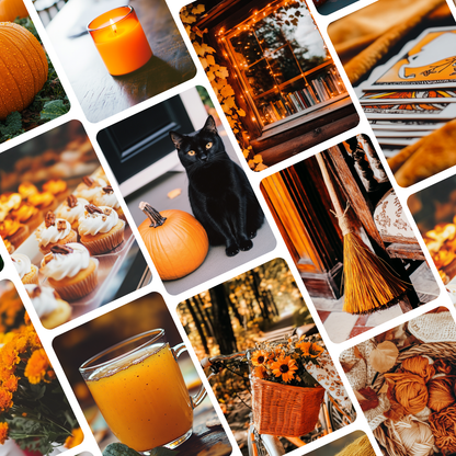 Orange Autumn | Brand Photos | Stock Images | Social Media Graphics | 100% Royalty Free